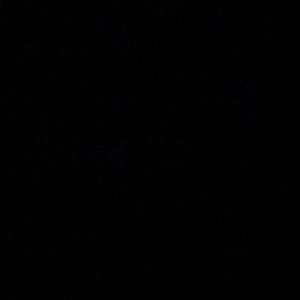 Meet your Posher, Savannah